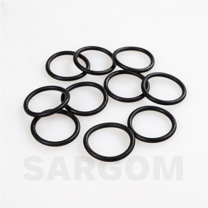 O-RING GUARNIZIONI